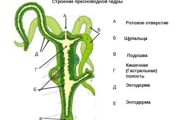 Ссылка на омг через тор