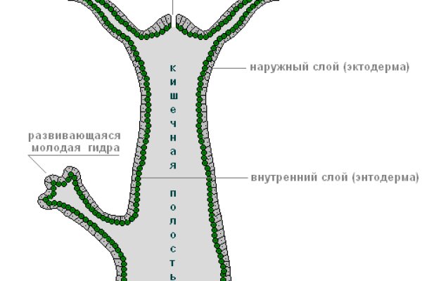 Мега омг ссылки