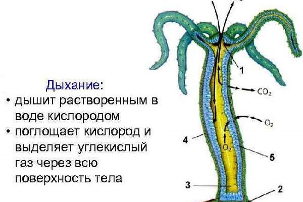 Омг даркмаркет